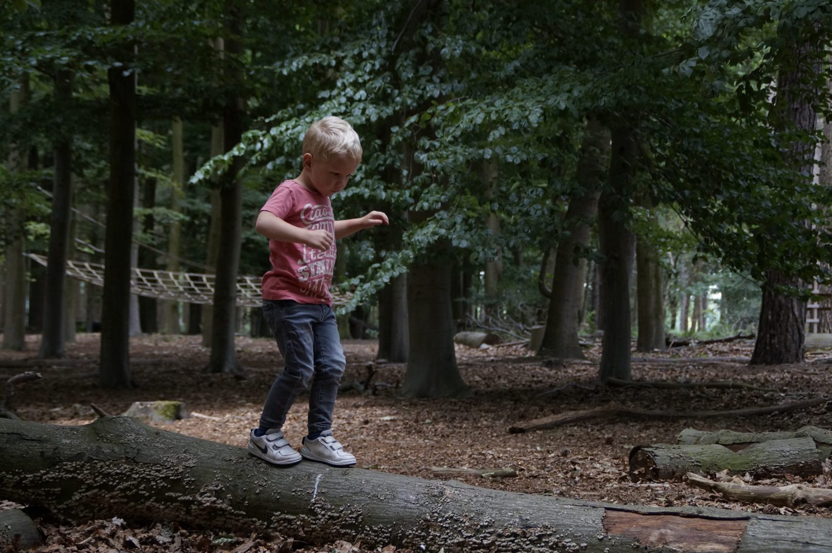 Survival party from 6 years 7 DSC8446 scaled