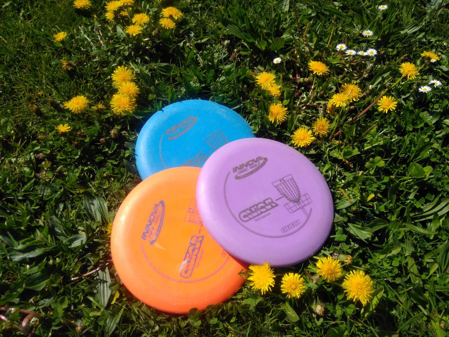 Discgolf 2 Discgolf 1 scaled