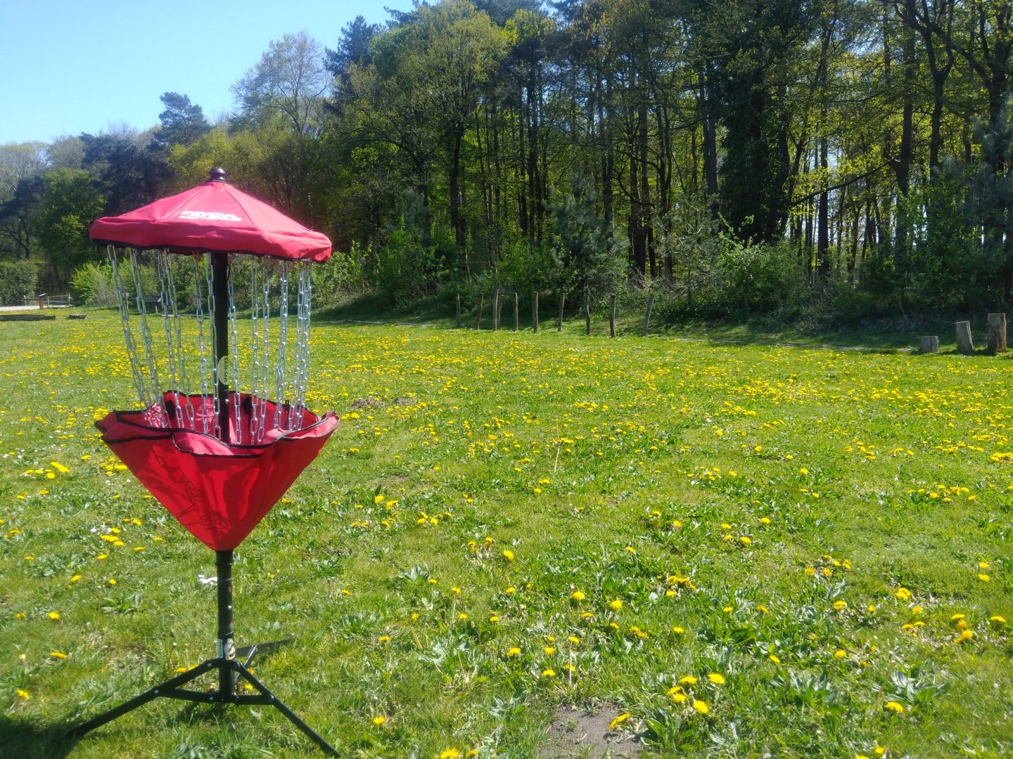 Disc golf 1 Discgolf 5 scaled