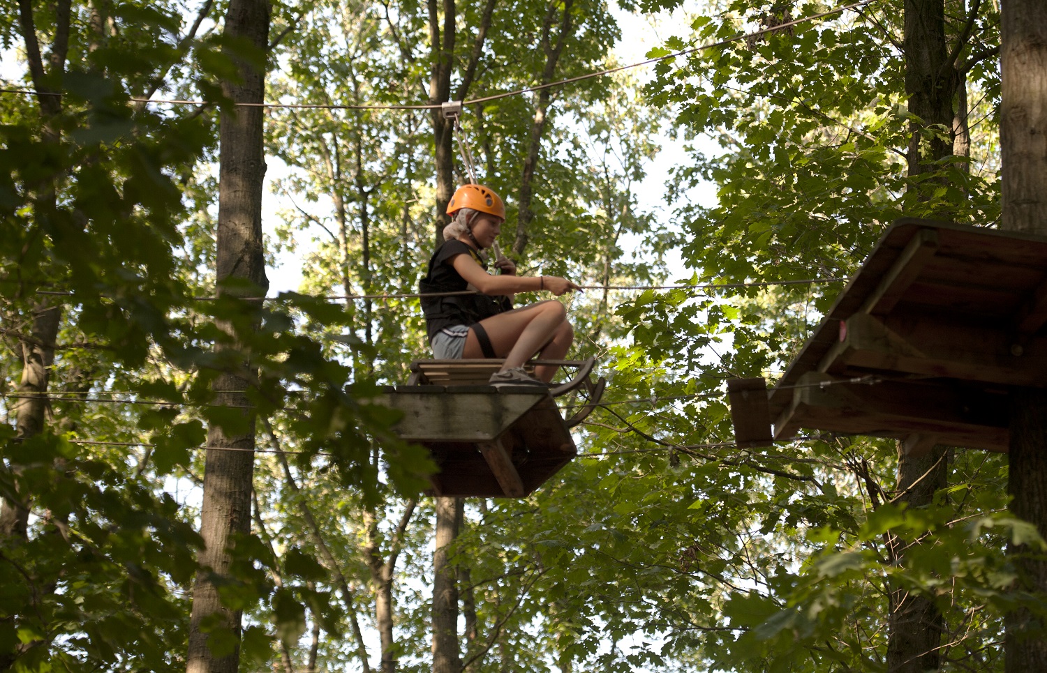 Climb and Zip party from 9 years 4 Climb zip 31