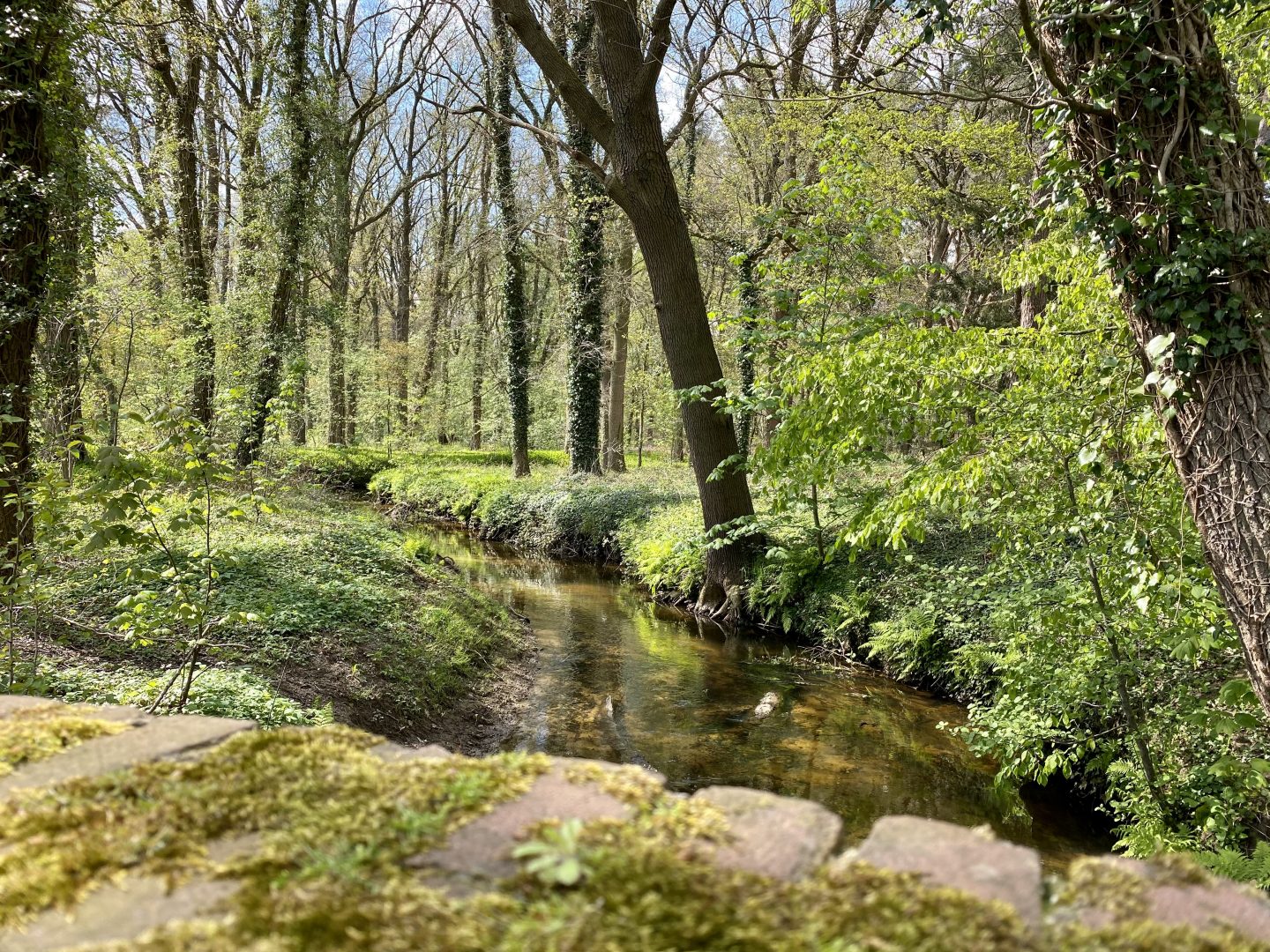 Step Smokkeltocht 9 Kickbike mei 2021 7 1