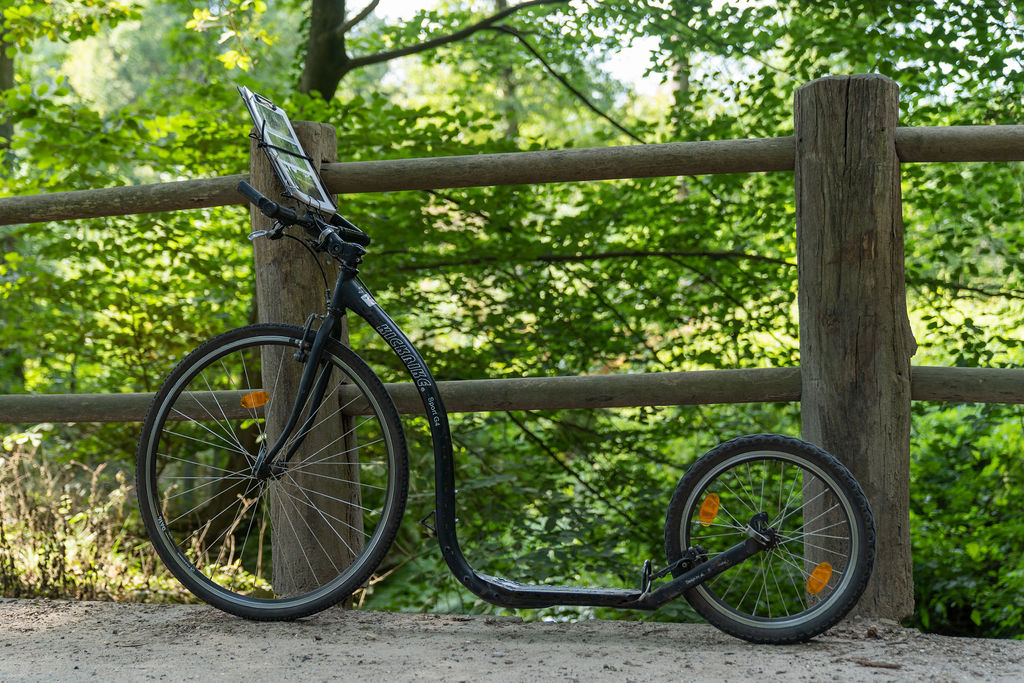 School Bike & Pedal Tour 4 TourRocks 0885