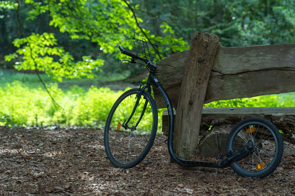 School Bike & Pedal Tour 6 TourRocks 1014