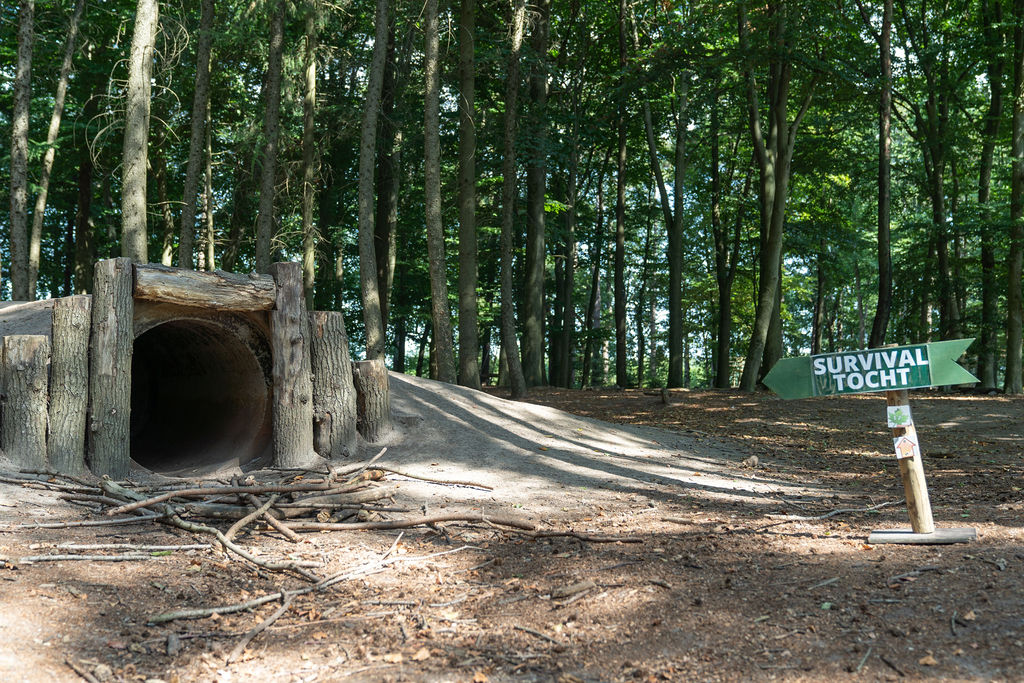 Schulüberlebensreise 6 TourRocks 1169