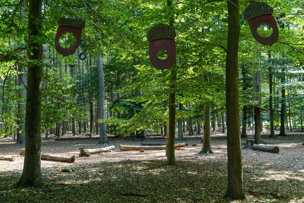 Schulüberlebenstrip 4 TourRocks 1181