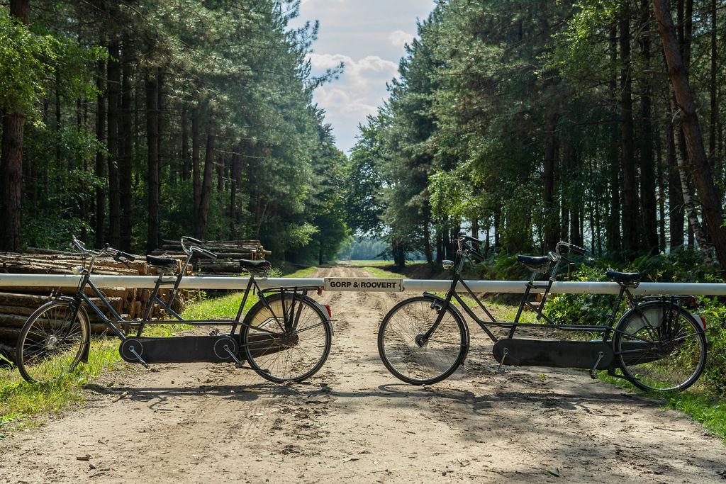 The Steel Rose 2 TourRocks 1283