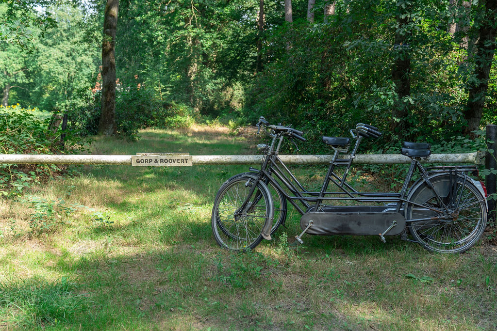 Tandem tour 3 TourRocks 1336