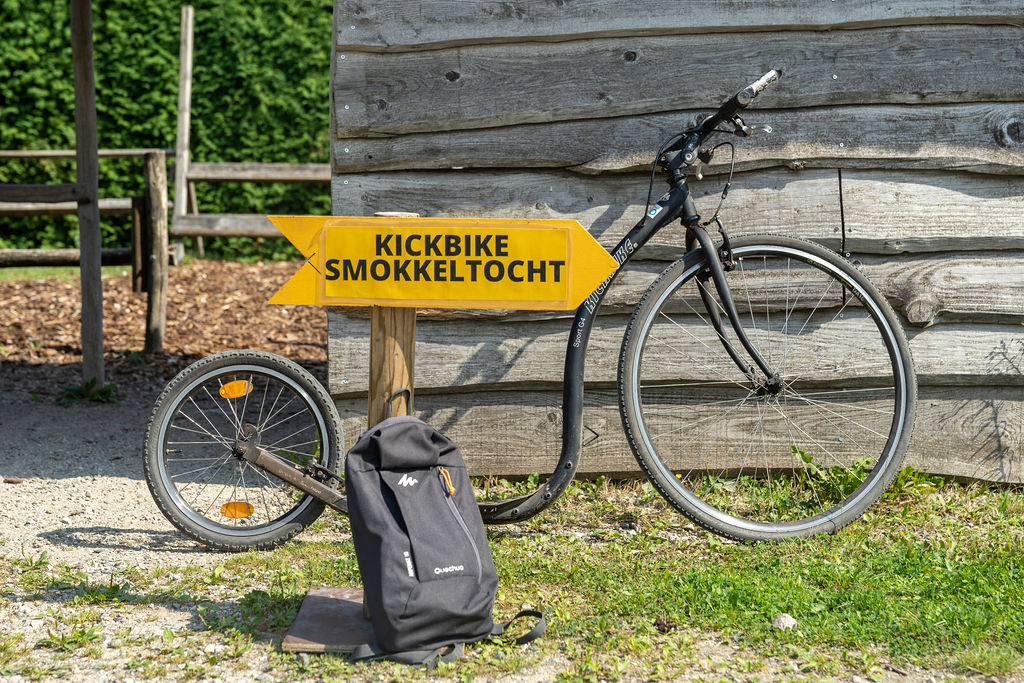 School Bike & Pedal Tour 8 TourRocks 1512