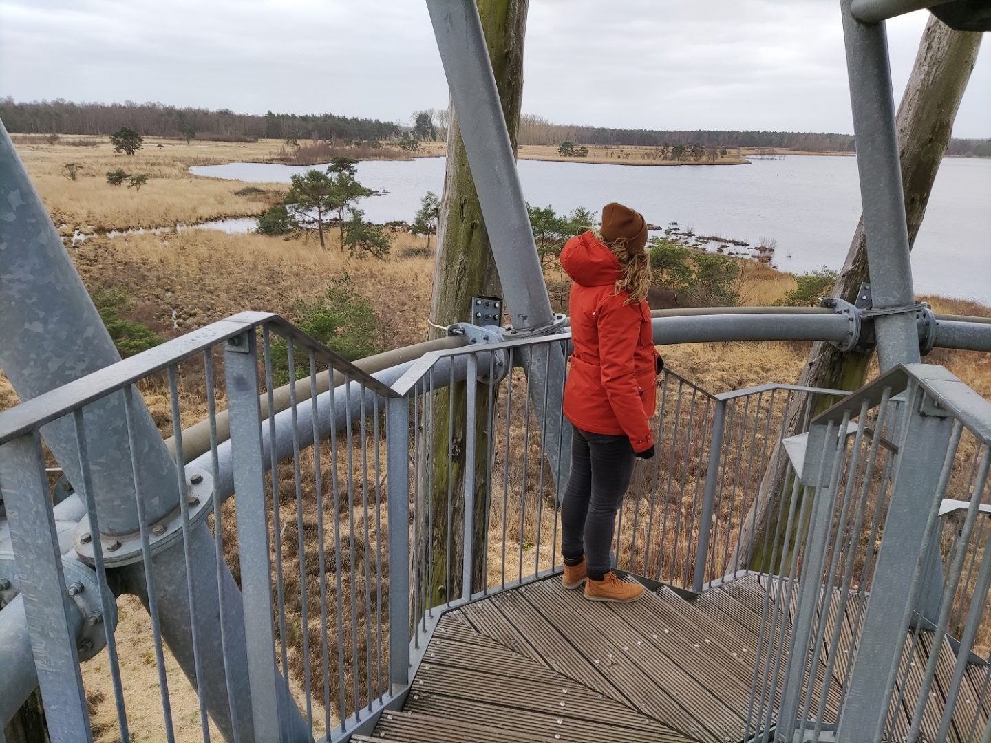 E-chopper tour 9 e chopper flaes tower small