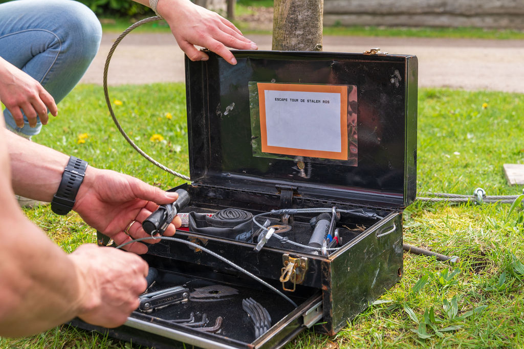 The Steel Rose 1 svg+xml;charset=utf