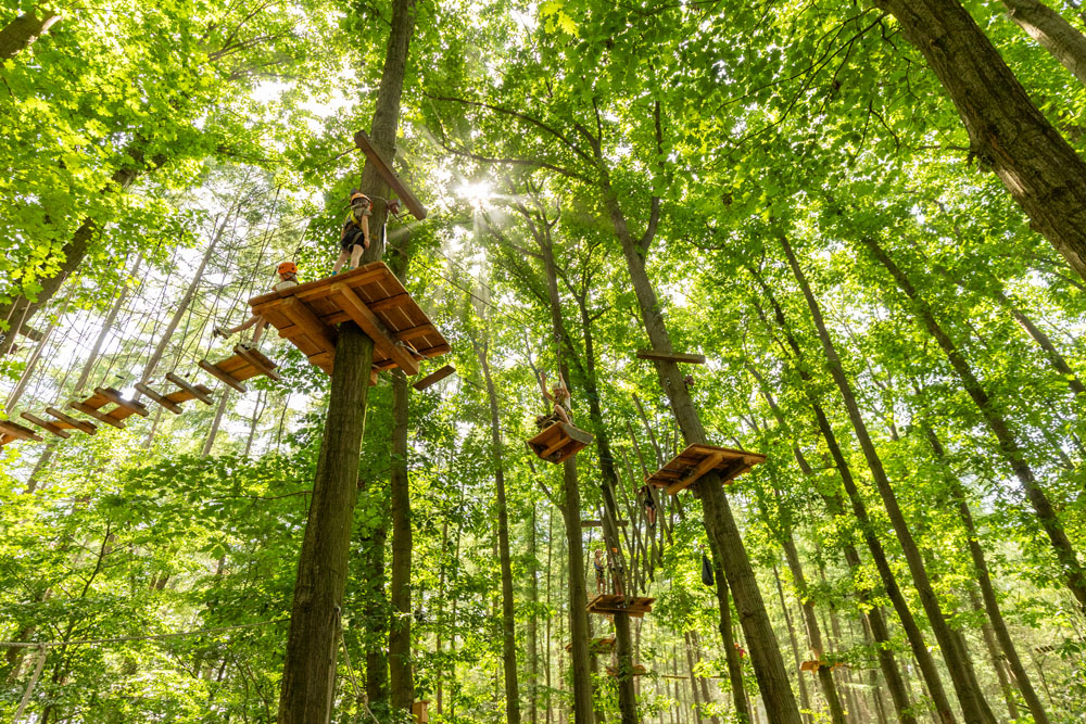 Home 1 svg+xml;charset=utf